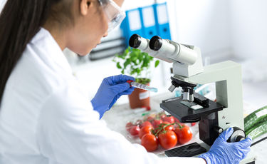 scientist looking at fruits and veggies